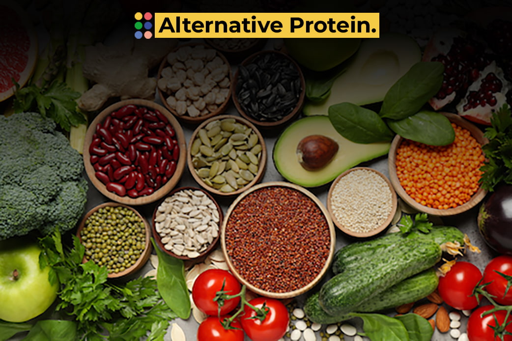 Alternative Protein