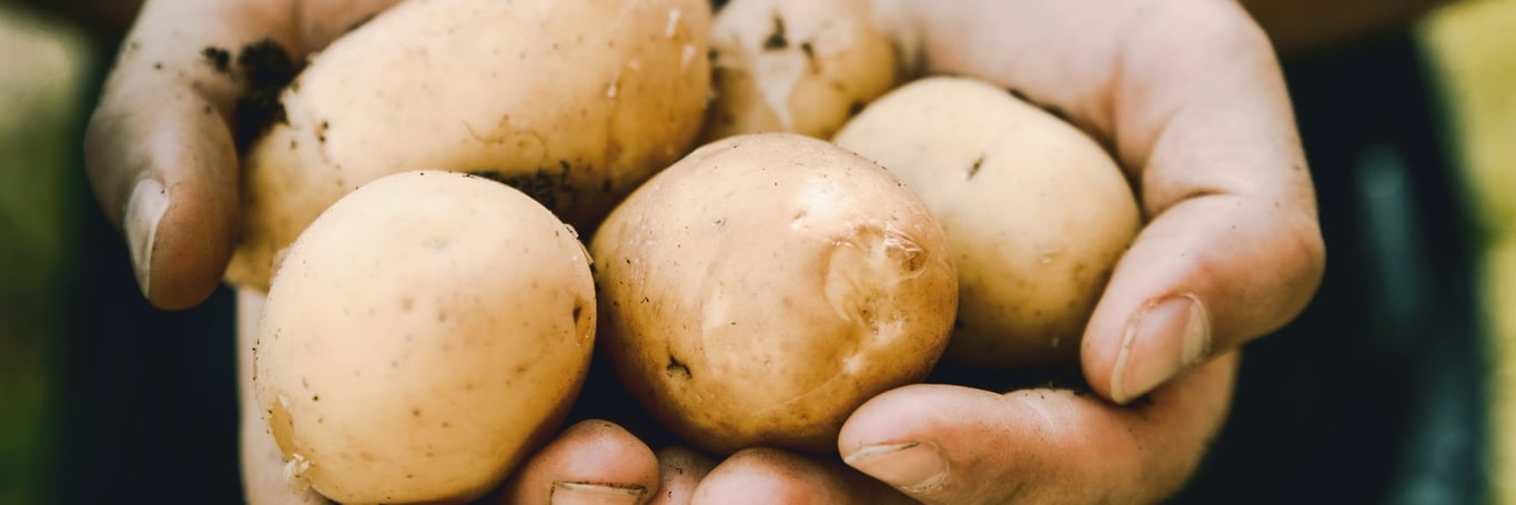 Brave-new-food-Lamb-Weston-innovation-challenge-header