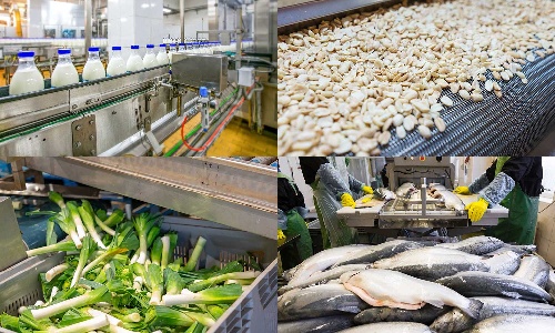 Extract ingredients out of residual flows | Brave New Food