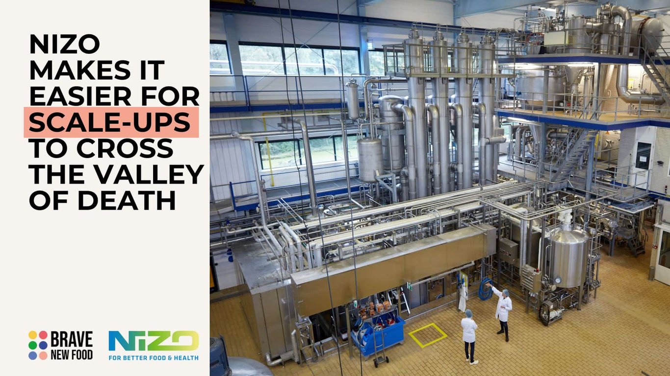 NIZO makes it easier for scale-ups to cross the Valley of Death