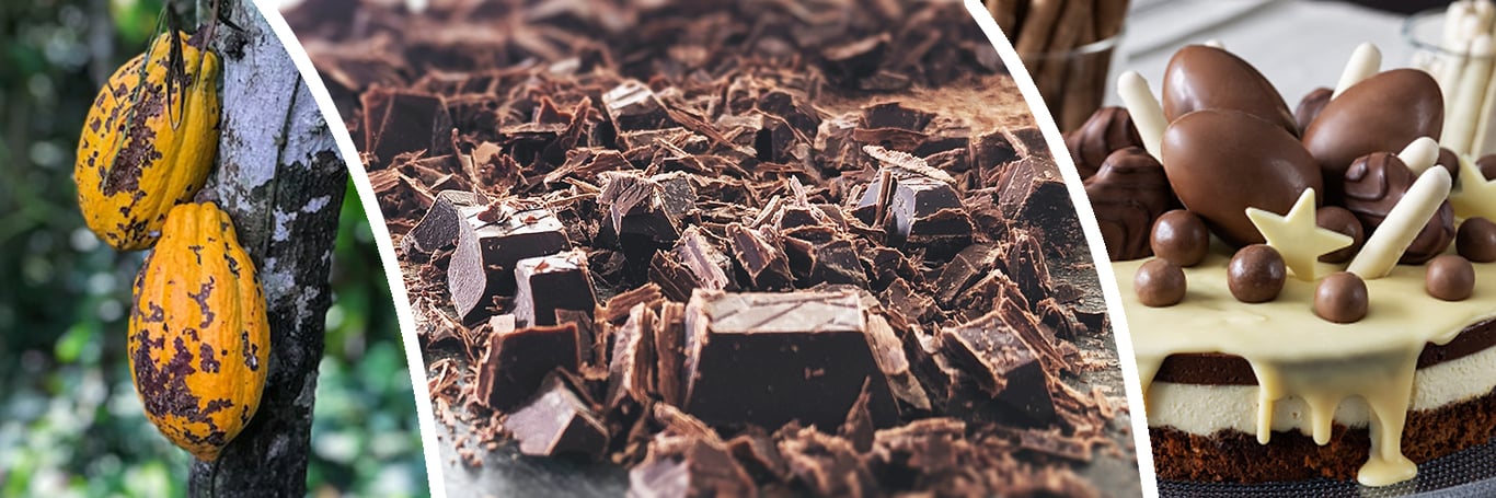 Header-Cacao-challenge-2023