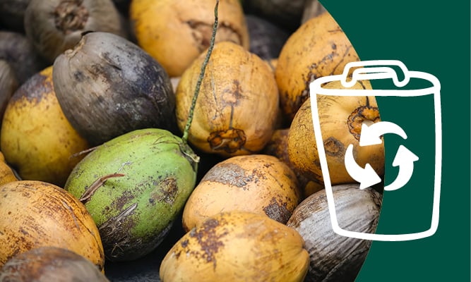 Valorization of (food) side streams and food waste | Brave New Food