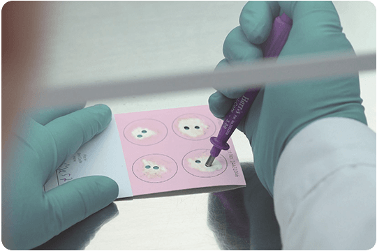 RoyalGD-innovatiethema-lab-diagnostiek