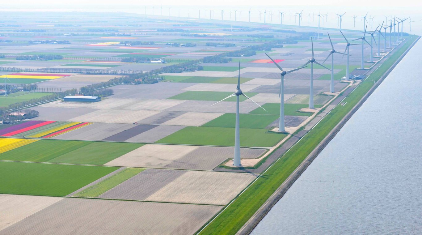 10 reasons why your alternative protein company should accelerate in the Netherlands