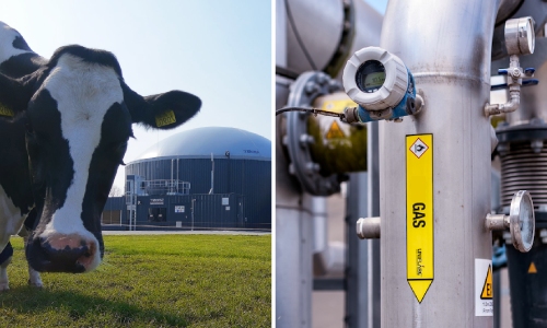 Alliander-groen-gas-challenge-spotlight-2