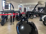 2019 Harley-Davidson Street 500 - 17
