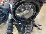 2019 Harley-Davidson Street 500 - 21