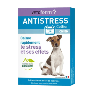 Antistress Collier stress à la Valériane et Lavande - Chien - VETOFORM - LCA - Produits-veto.com