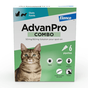 AdvanPro Combo - 50 mg/60 mg - 6 pipettes puces et tiques pour chat - ELANCO - Produits-veto.com