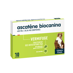 Ascatène - vermifuge pour chien et chat - 10 comprimés - Chien et chat - Biocanina - Produits-veto.com