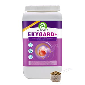 Ekygard + Proteção Gástrica - Acidez - Cavalo - 2,4 kg - Audevard - Produtos-veto.com