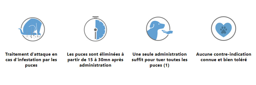 Capstar petit chien 11,4 ELANCO - élimination rapide des puces