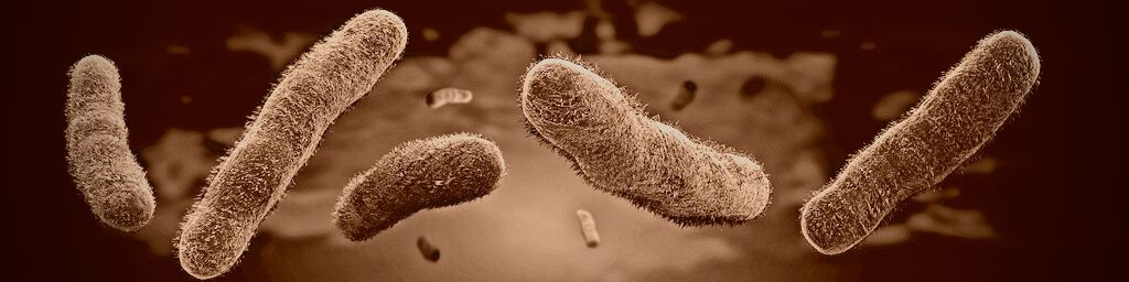 Cure équine automne : cheval fatigué, toxines et digestion et vermifuge
