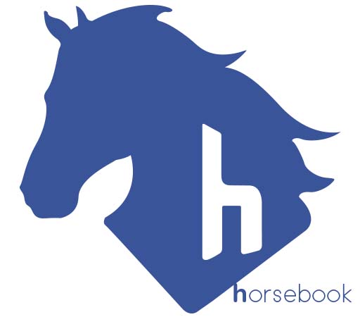 202112 - Sarna de lama ou dermatofilose - Horsebook, página do cavalo no Facebook - Cavalo - Produtos-veto.com