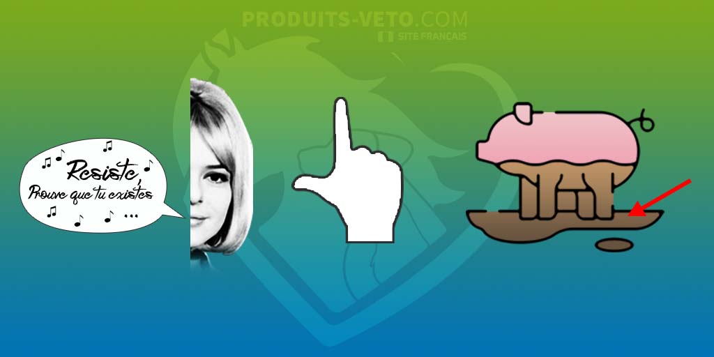 202112 - Crosta de lama ou dermatofilose - Rebus - Cavalo - Produtos-veto.com