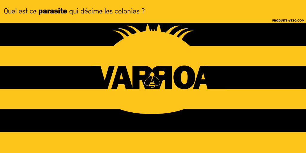 202203-Article-Varroa-Abeilles-traitement-parasite_Une_Produits-veto