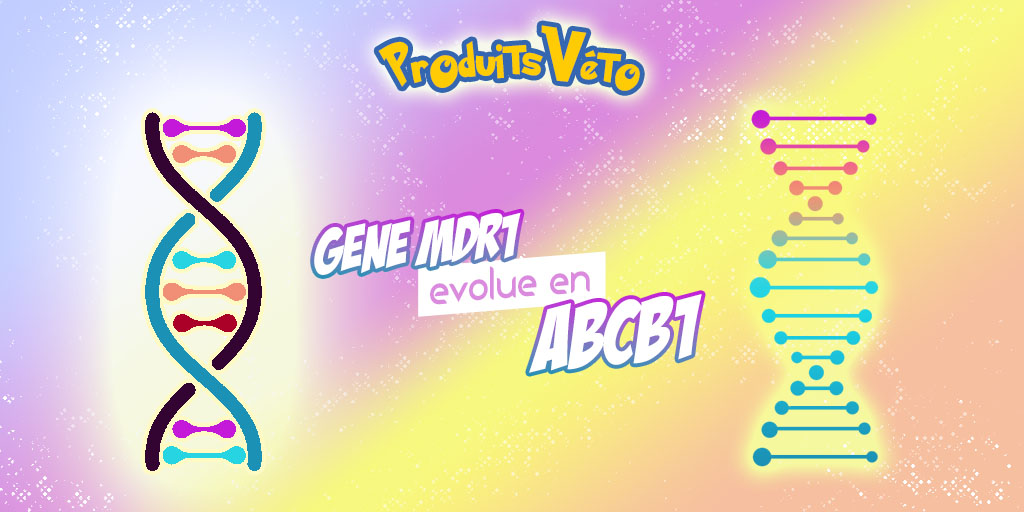 Article MDR1 - Chien - Mutation MDR1 vers ABCB1 - Produits-veto.co