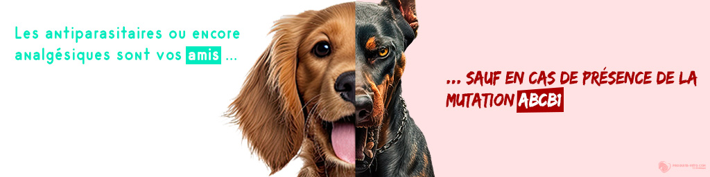 Article MDR1 Chien - Médicaments - Produits-veto.com