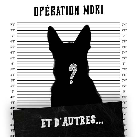 Article MDR1 Chien - Autre Race - Produits-veto.com