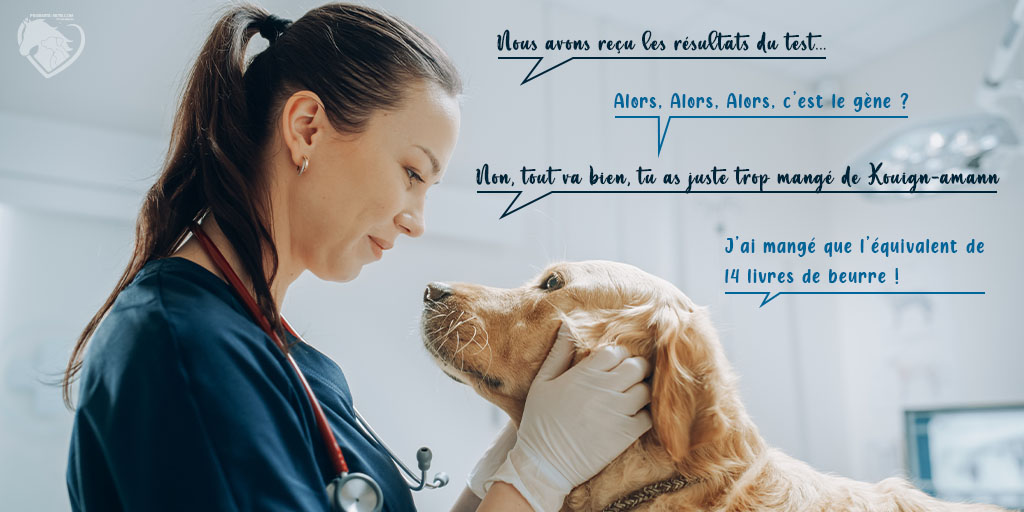 Article MDR1 Chien - Test MDR1 - Produits-veto.com