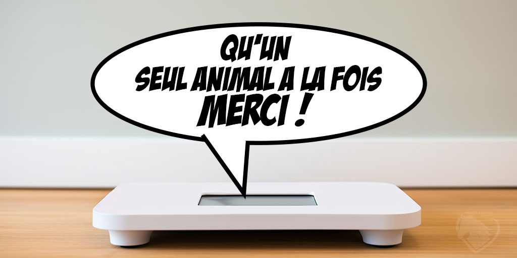 202311 - Obésité animale - Quel poids pour un chien - Produits-veto.com
