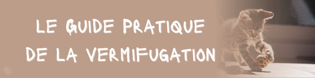 Banner um dos títulos do artigo sobre desparasitação de gatos com o guia prático para desparasitação escrito