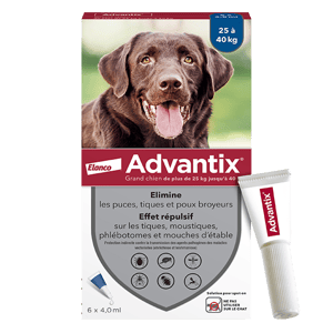 ADVANTIX Grand chien - Anti puce - 25 à 40 kg - 4,0 ml - 6 pipettes - ELANCO - Produits-veto.com