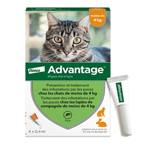 Advantage 40 - pipettes antiparasitaires chat et lapin - Moins de 4 Kg - 4 Pipettes - ELANCO - Produits-veto.com