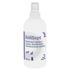 Antisept - Solution désinfectante - Chien et chat - 250 ml - DECHRA - Produits-veto.com