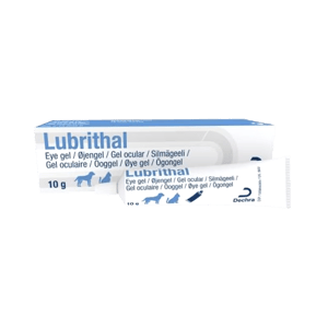 Lubrithal - Gel oculaire - 10 g - Chien et chat - DECHRA - Produits-veto.com