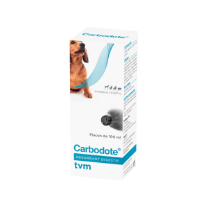 Activated Charcoal Dose Dog 