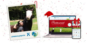 Image principale du partenariat helene.papote x produits-veto.com pour le jeu concours du calendrier de l'avent équin