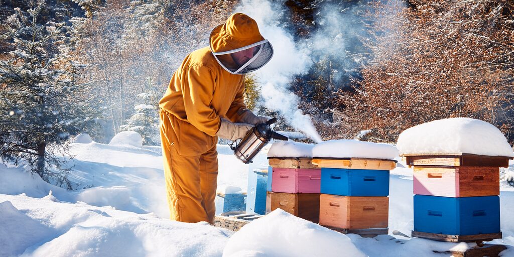 Primeira imagem do artigo Como se livrar dos ácaros varroa? com um apicultor tratando suas colmeias no inverno.