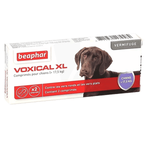 Voxical XL - Vermifuge pour chien de plus de 17,5kg - BEAPHAR - Produits-veto.com