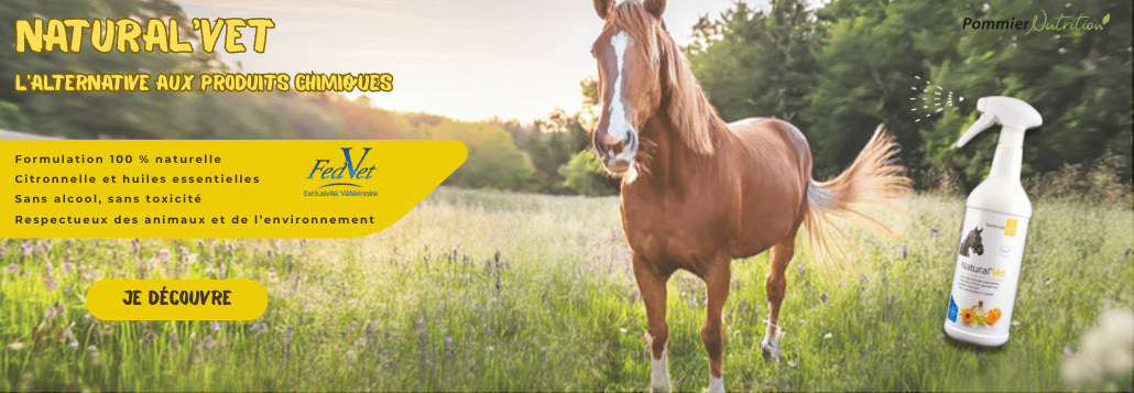 Troisième image de l'article Parasites externes du cheval : comment les reconnaître, les prévenir et les traiter