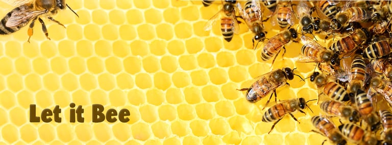 Bandeau Catégorie - Abeilles - Let it bee - Produits-veto.com