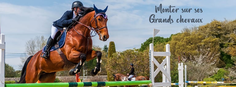 Snack Di Carrube Bite & Delight | 1.4kg, Per Cavalli E Conigli - Senza Additivi - Foto 7