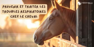 cheval _ troubles_respiratoires _ prévenir _ traiter _ produits-veto