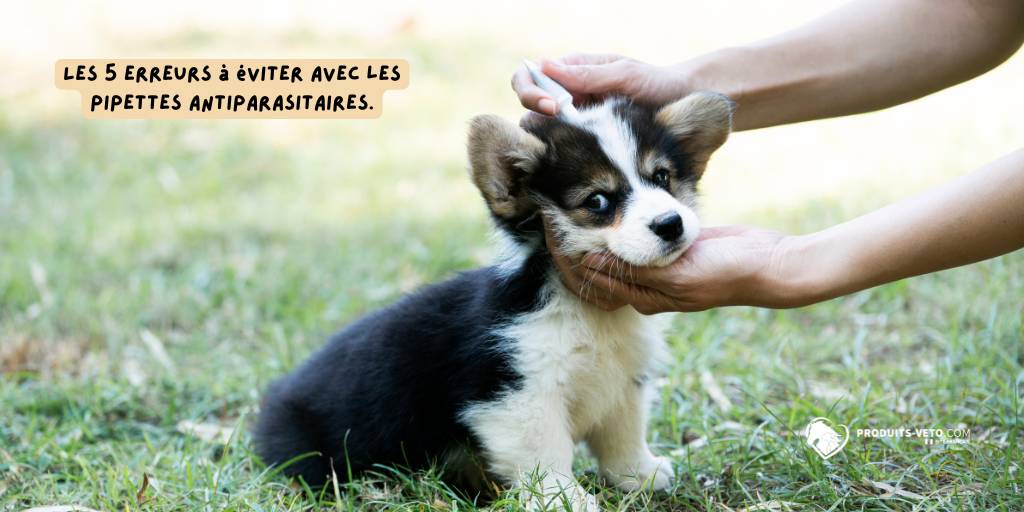 Antiparasitaire_blog_produits_veto_pipettes