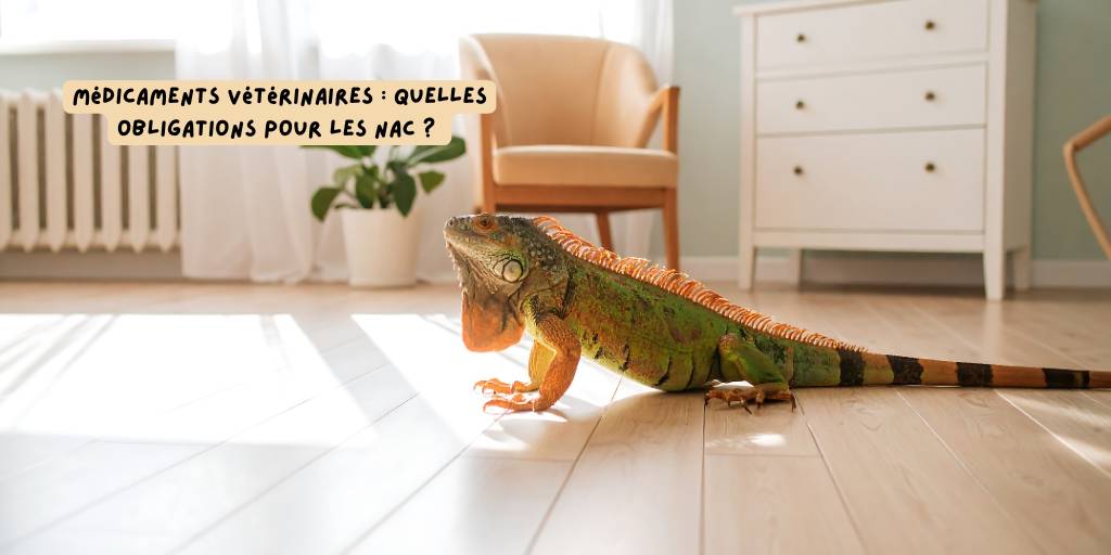 Medicaments_vet_NAC_iguane_Produits-veto