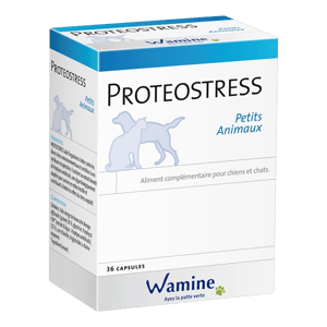Proteostress - Stress environnementaux - 36 capsules - Chien, chat, Petits animaux - WAMINE - Produits-veto.com