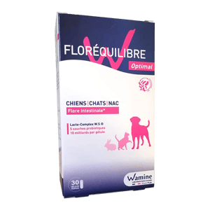 Complément Anti-boules De Poils Pour Chat - ZPC, 250 G, Avec Taurine, Psyllium Et Chicorée, Pour Digestion Et Transit