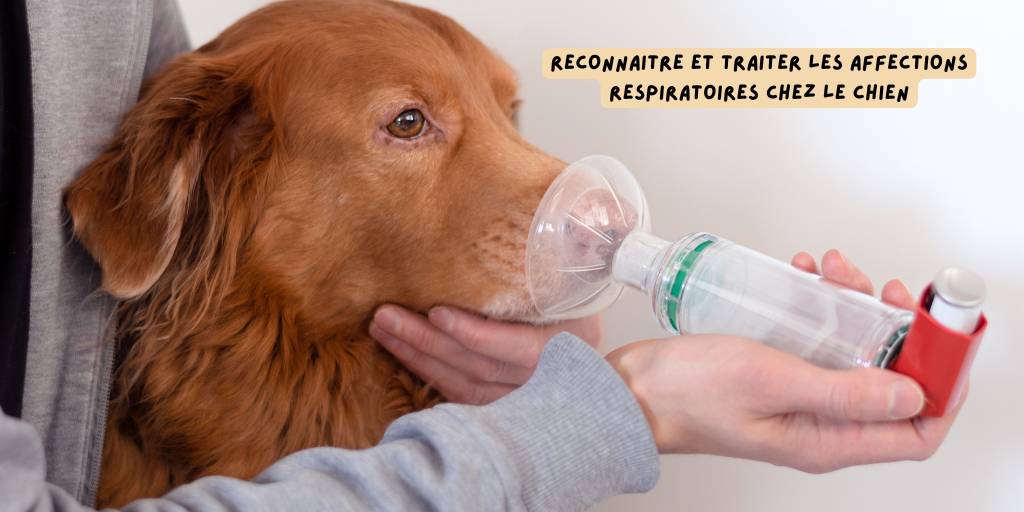 Affections respiratoires chez le chien_ produits-veto