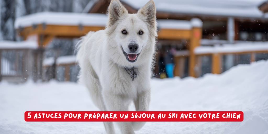 séjour au ski_BBS_neige_ski_produits-veto