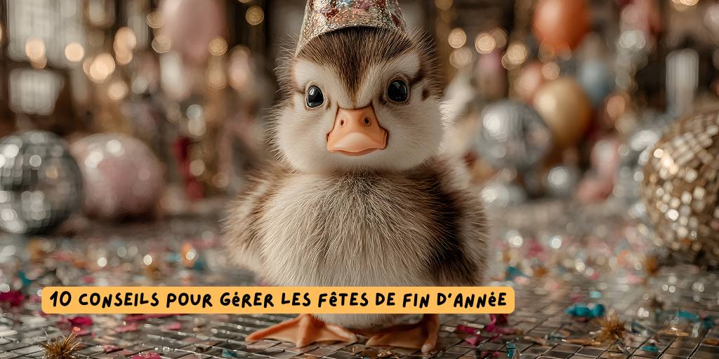 Canneton_conseils_fin_dannee_2025