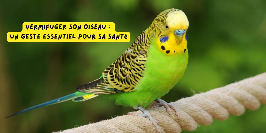vermifuger sons oiseau produits-veto.com