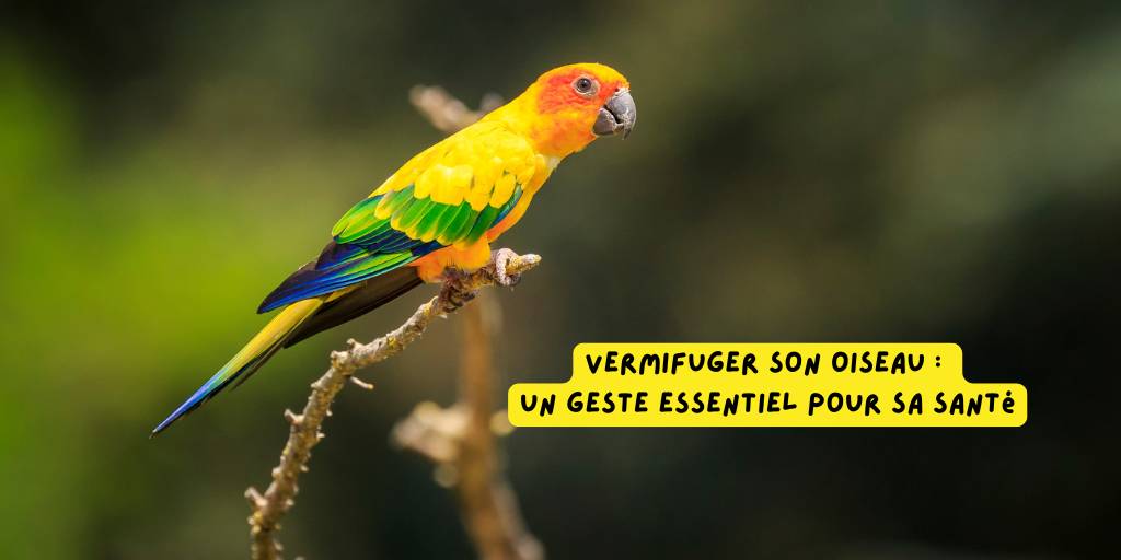 vermifuger_son_oiseau_article_produits-veto