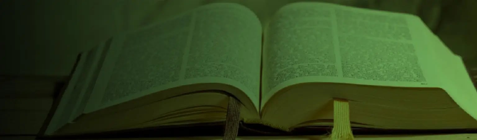 Síntesis Bíblica 1 (2025)