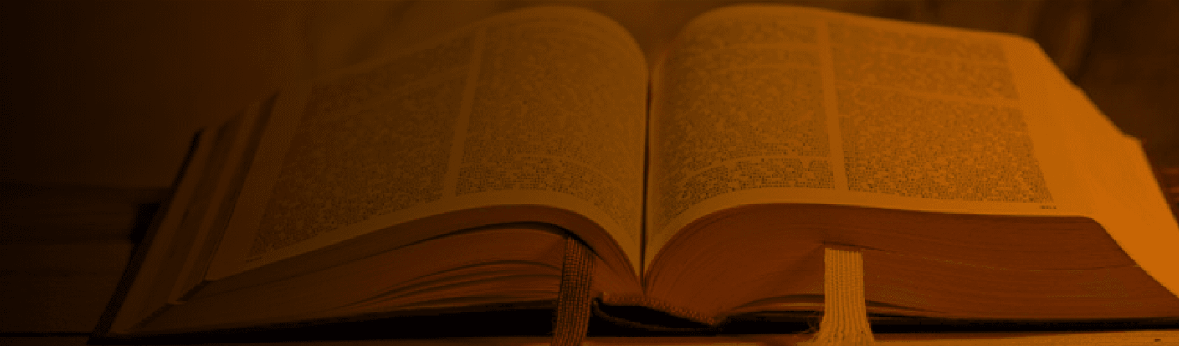 Síntesis Bíblica 2 (2025)