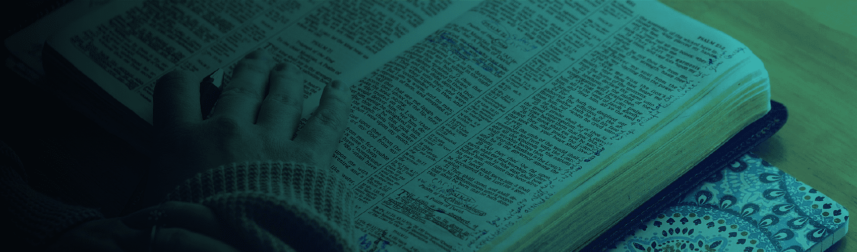 Doctrina Bíblica 4 (2020)